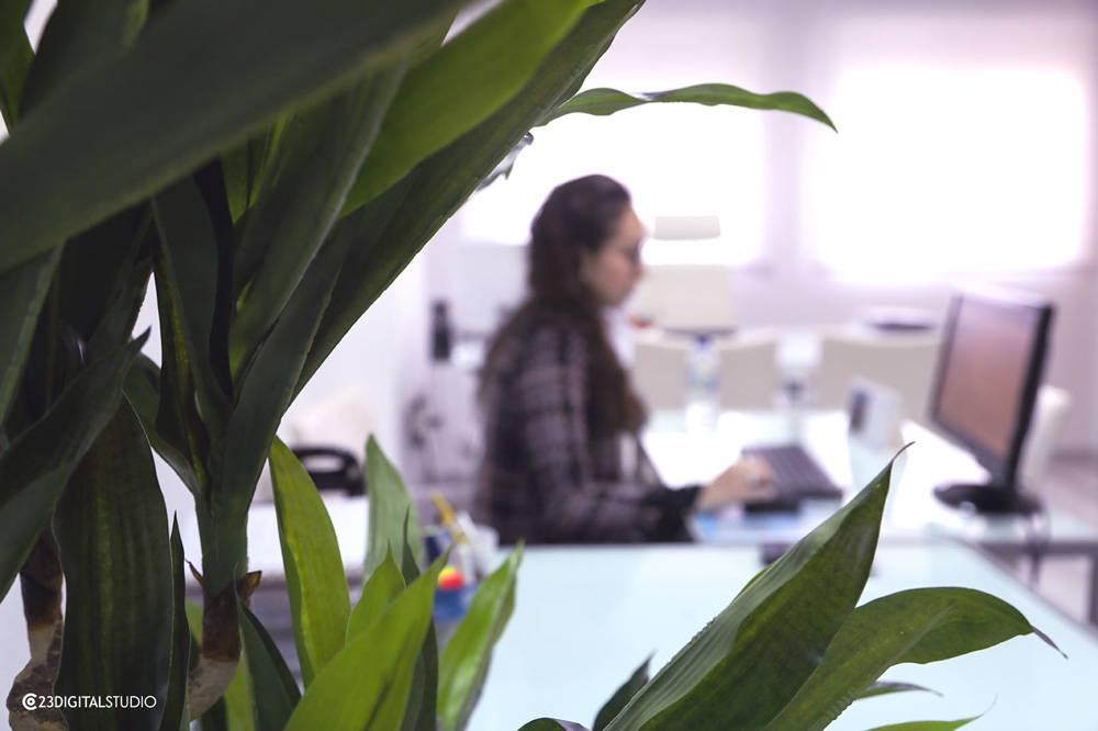 ayuda inscripción en el rolece