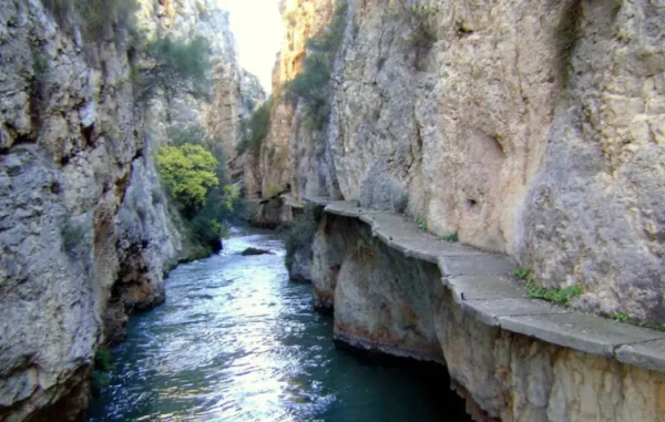 licitación cañones jaén